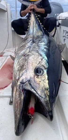 Kaitokraft インヴァイターバブル　215M-95