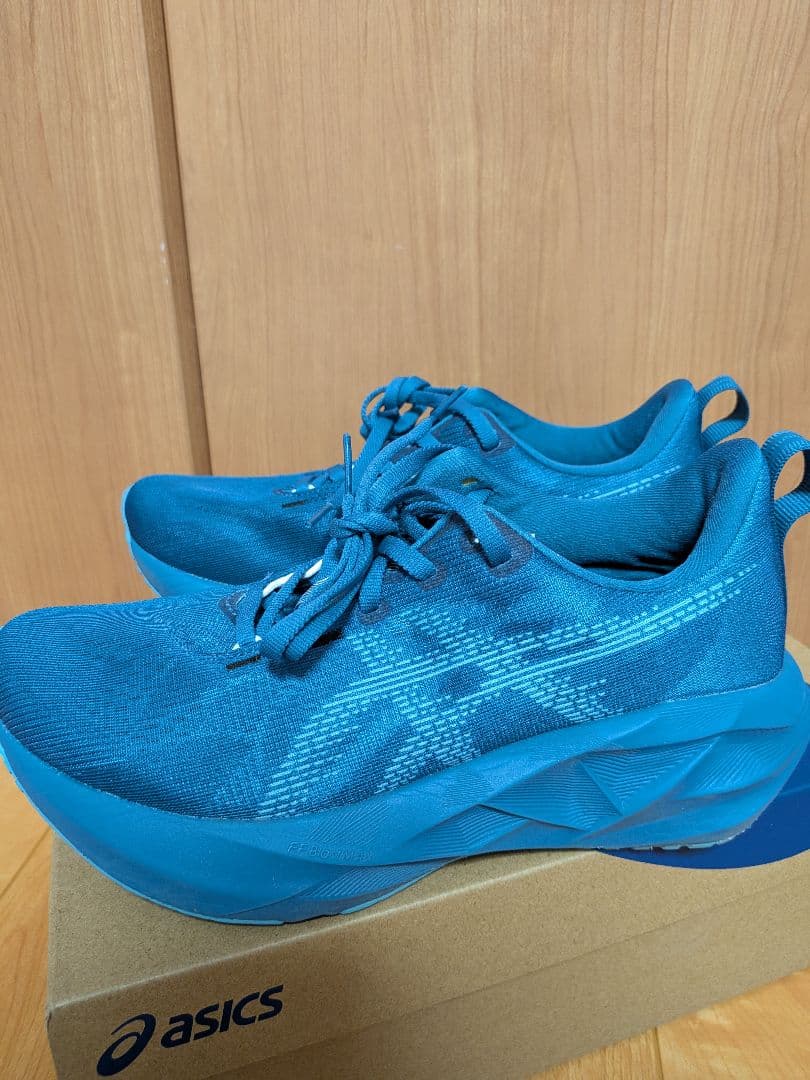 ASICS NOVABLAST 5 24.0cm 青