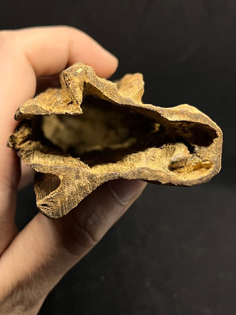 お香 天然沈香 六国五味聞香用 伽羅 香木 4-S-108g 新年特別出品