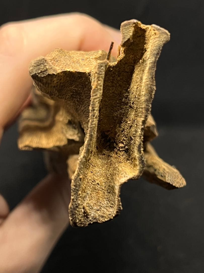 お香 天然沈香 六国五味聞香用 伽羅 香木 4-S-108g 新年特別出品