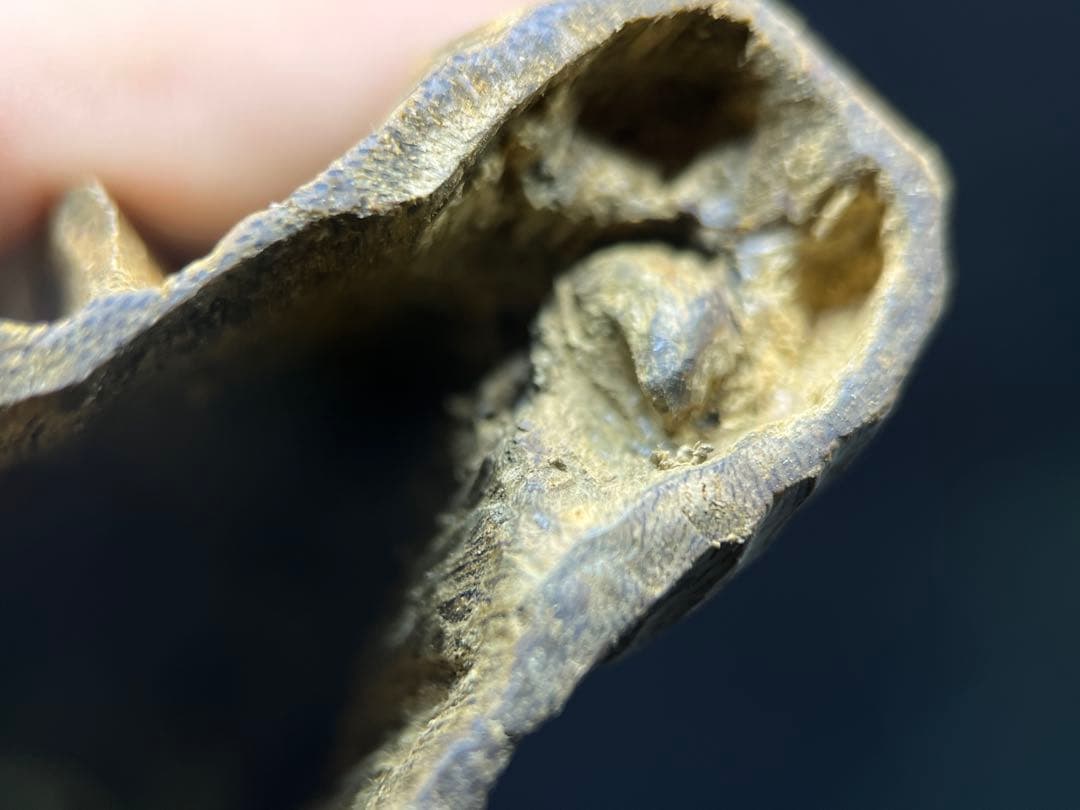 お香 天然沈香 六国五味聞香用 伽羅 香木 4-S-108g 新年特別出品