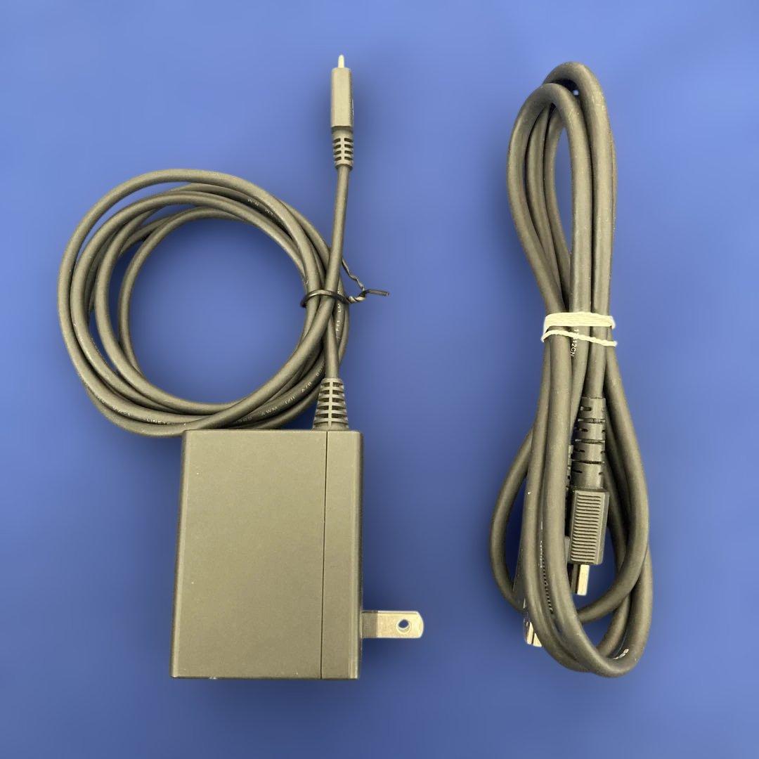 動作確認済　Switch Nintendo Switch 画面焼けあり