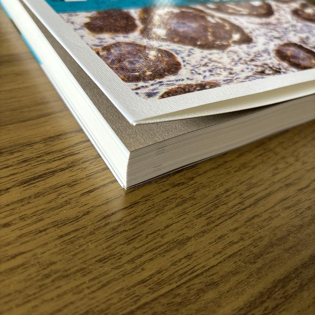 癌診療指針のための病理診断プラクティス　皮膚腫瘍