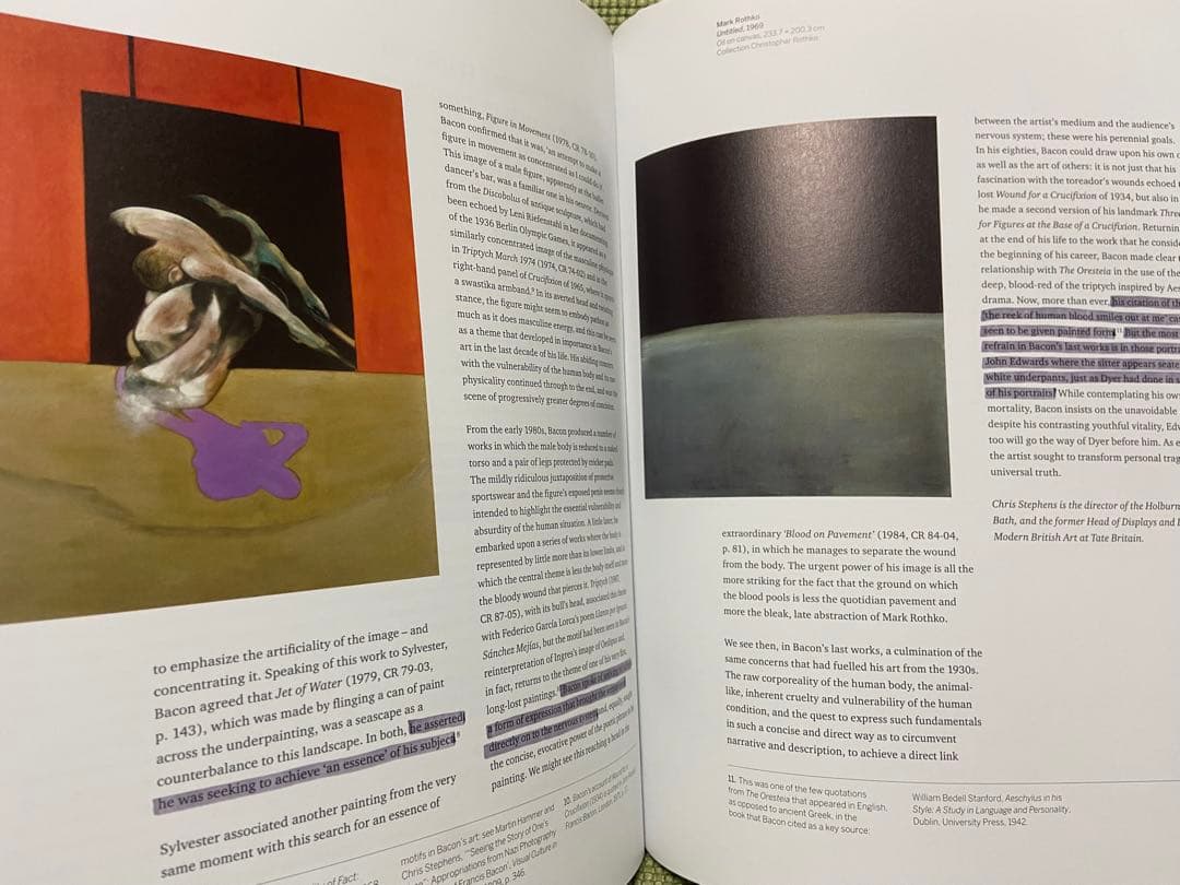 洋書 Francis Bacon Books and Painting