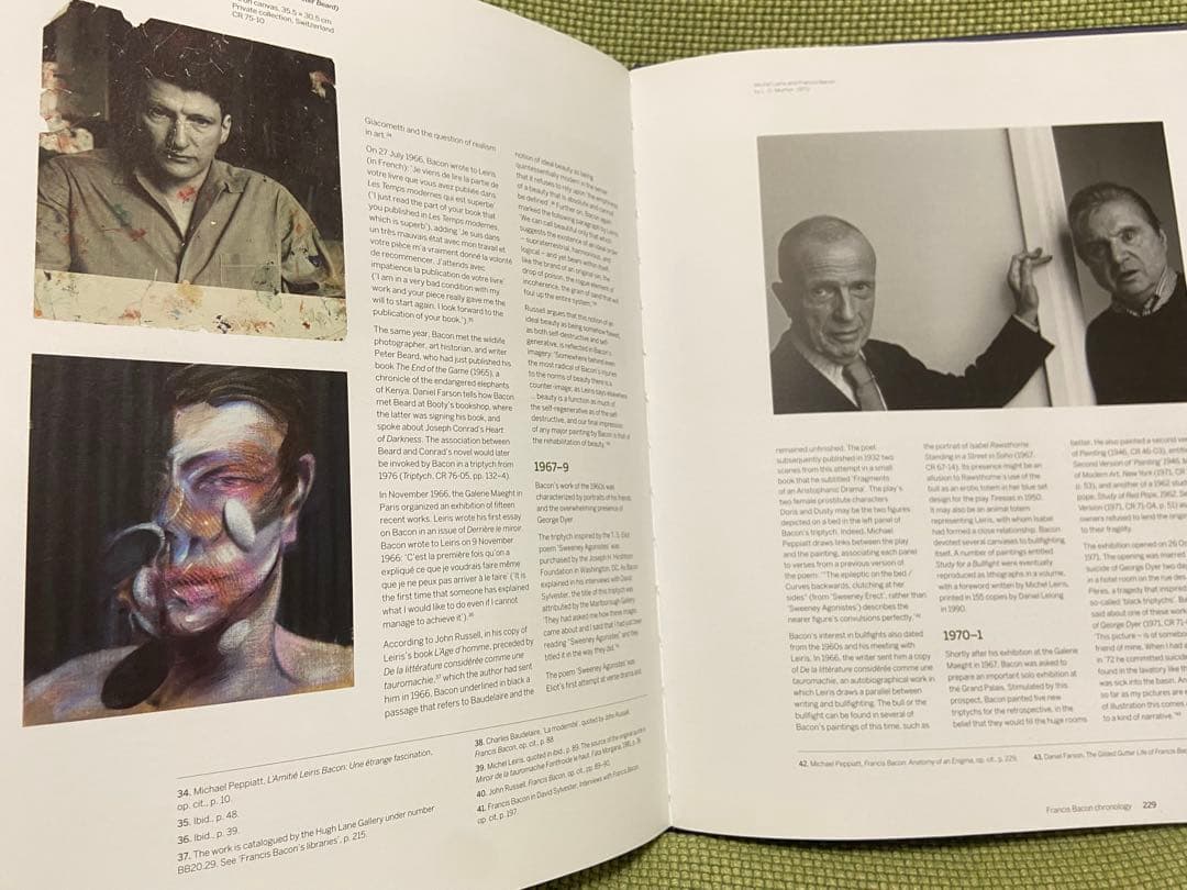 洋書 Francis Bacon Books and Painting