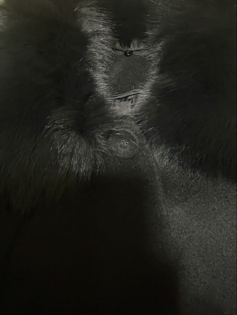 新品タグ付き　SAGAFURS カシミヤ100% ロングコート　黒