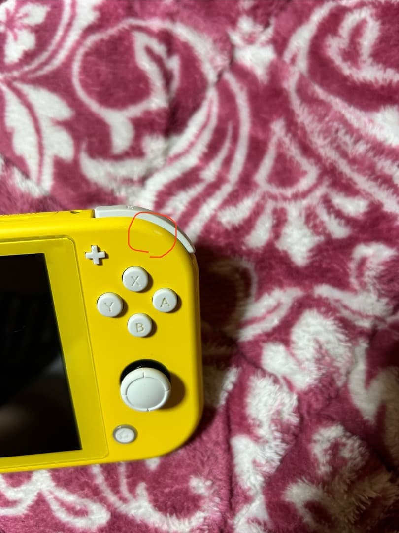 Nintendo Switch Lite イエロー 本体とソフト付き