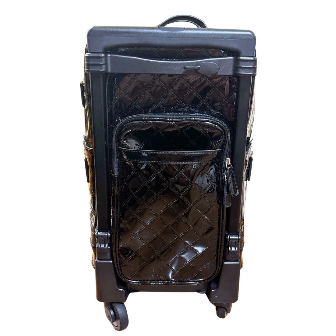 ★ ネネ★スワニー エマイロV L21 4輪 ソフト キャリーケース