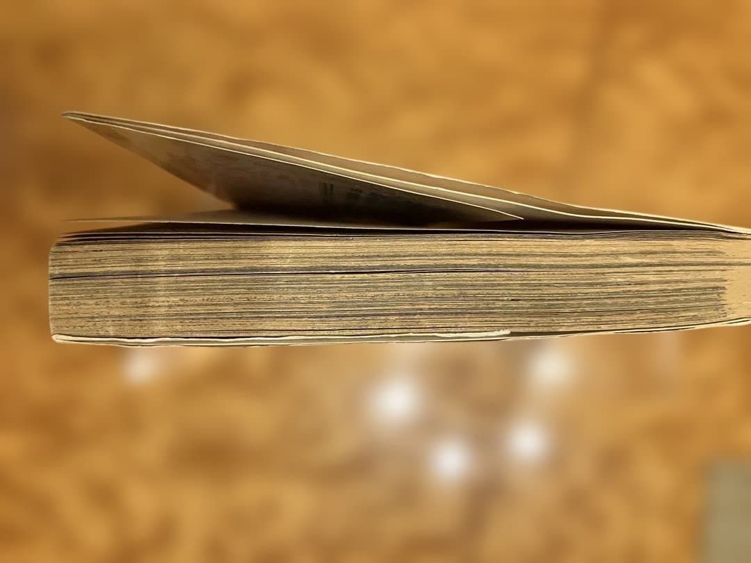 ONE PIECE ROMANCE DAWN 1巻