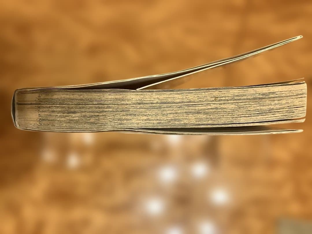 ONE PIECE ROMANCE DAWN 1巻