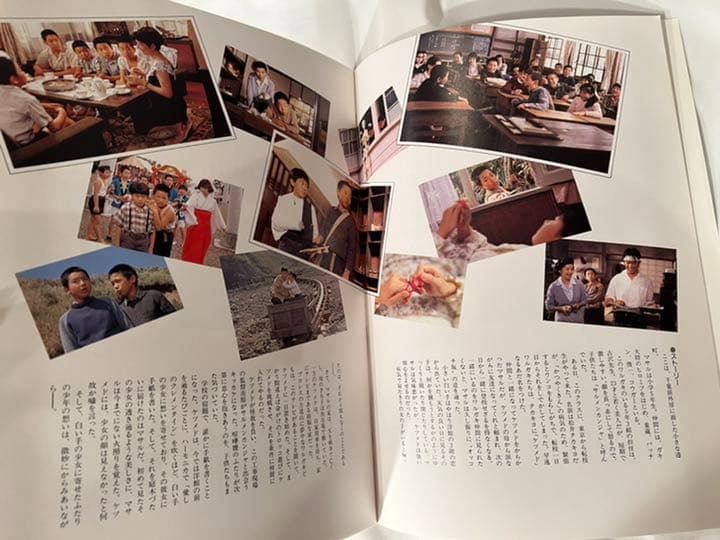 「映画　パンフレット」  白い手　南野陽子　主演