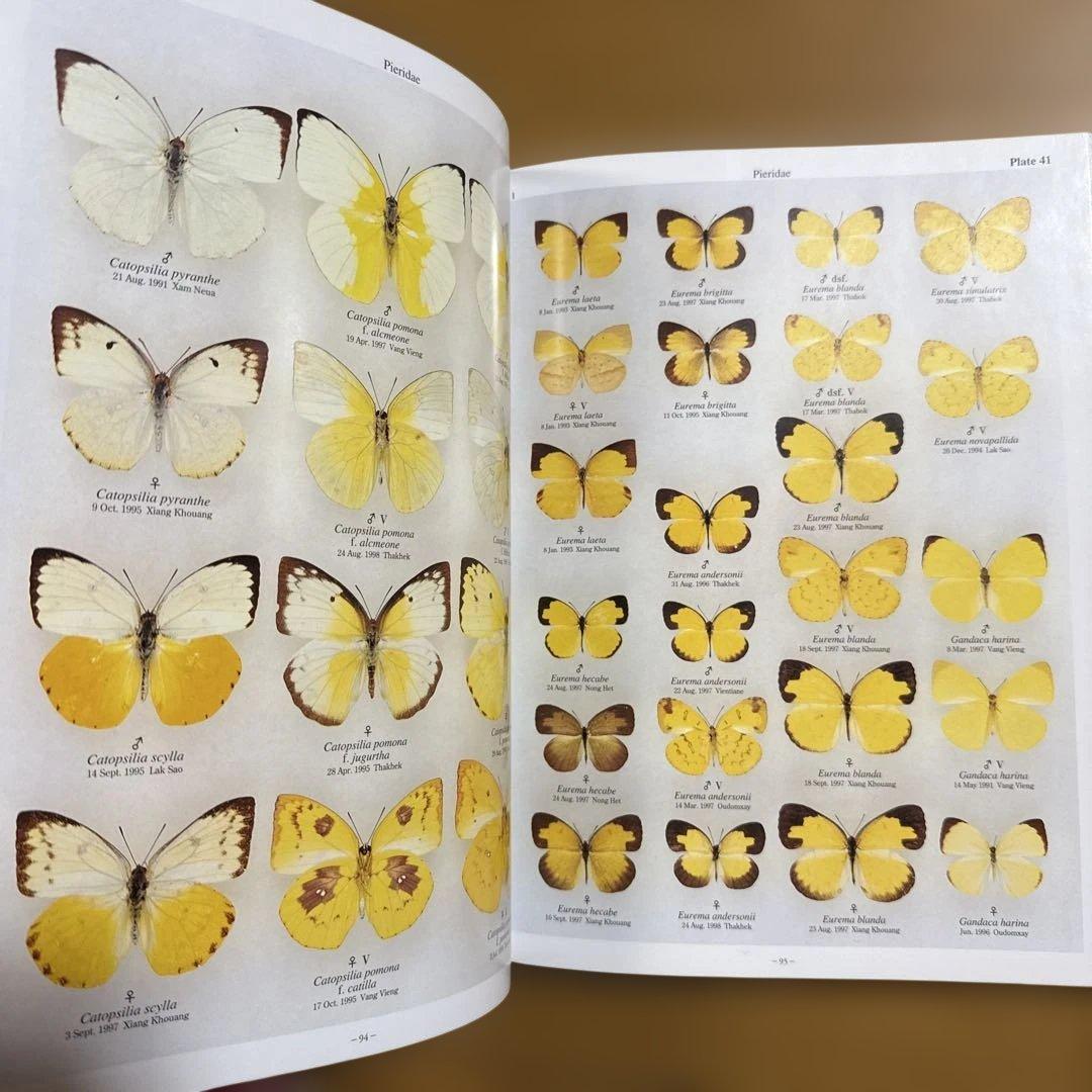 希少 絶版 ラオス蝶類図譜