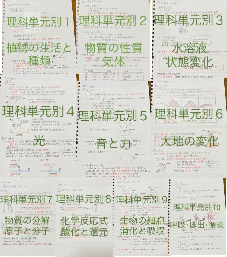 チェリーページ①