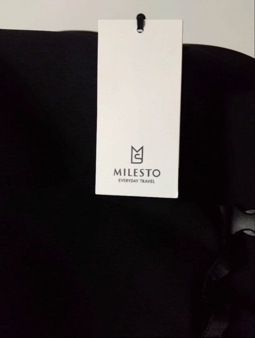 MILESTO LIKID サイドバックルバックパック 22L