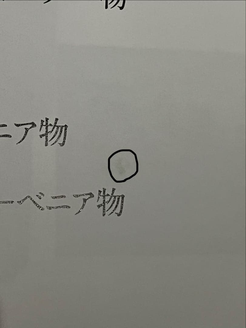 Lightning SUKAJACKET ライトニング スカジャン ヴィンテージ