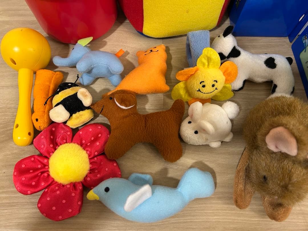 DWE プレイアロング&シングアロング&ストレートプレイセット