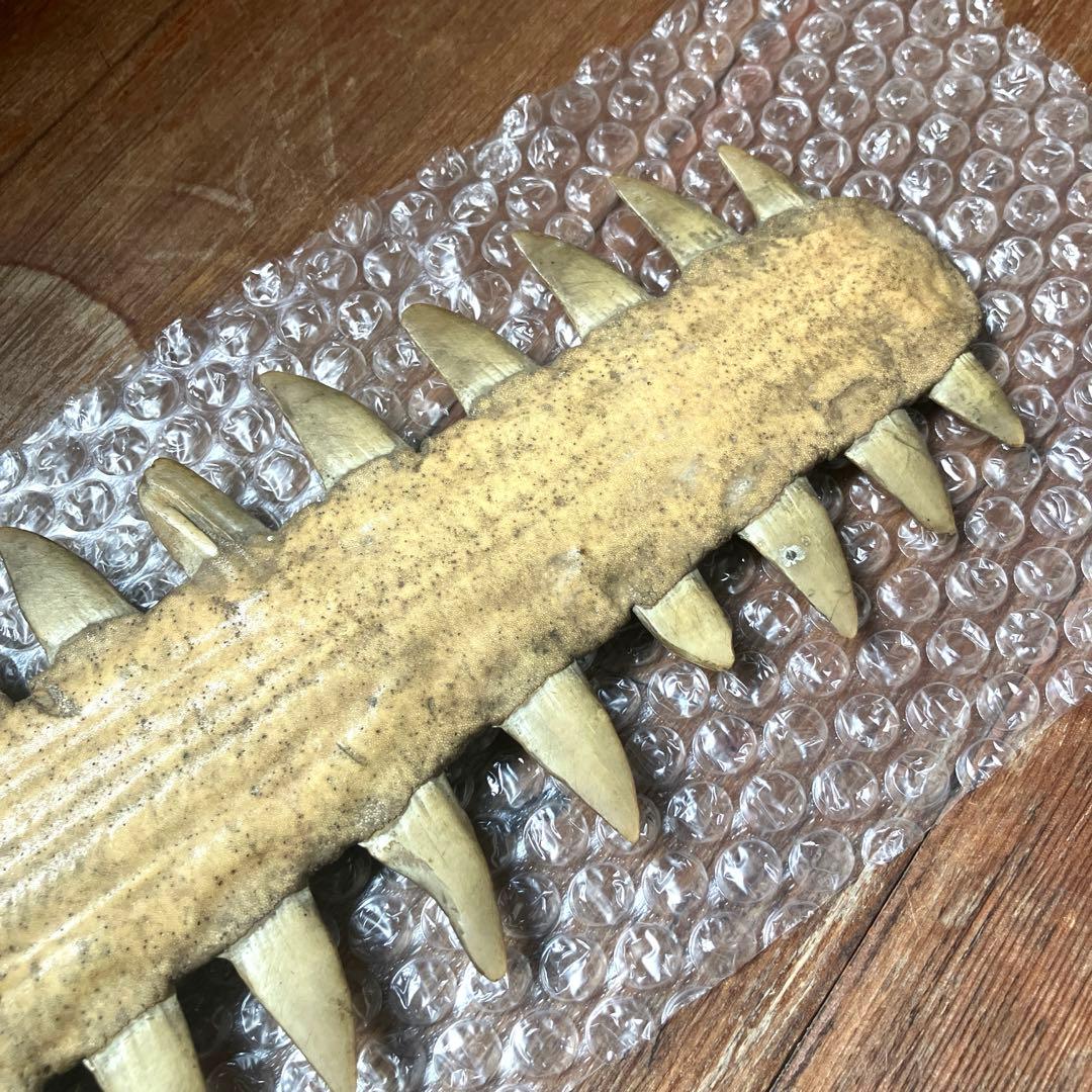 希少 ノコギリエイ 吻 全長約74cm 歯 博物 雑貨