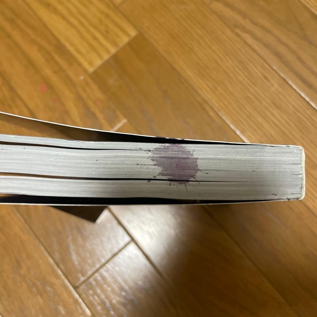 や*館様 Jean Paul Gaultier vetements book