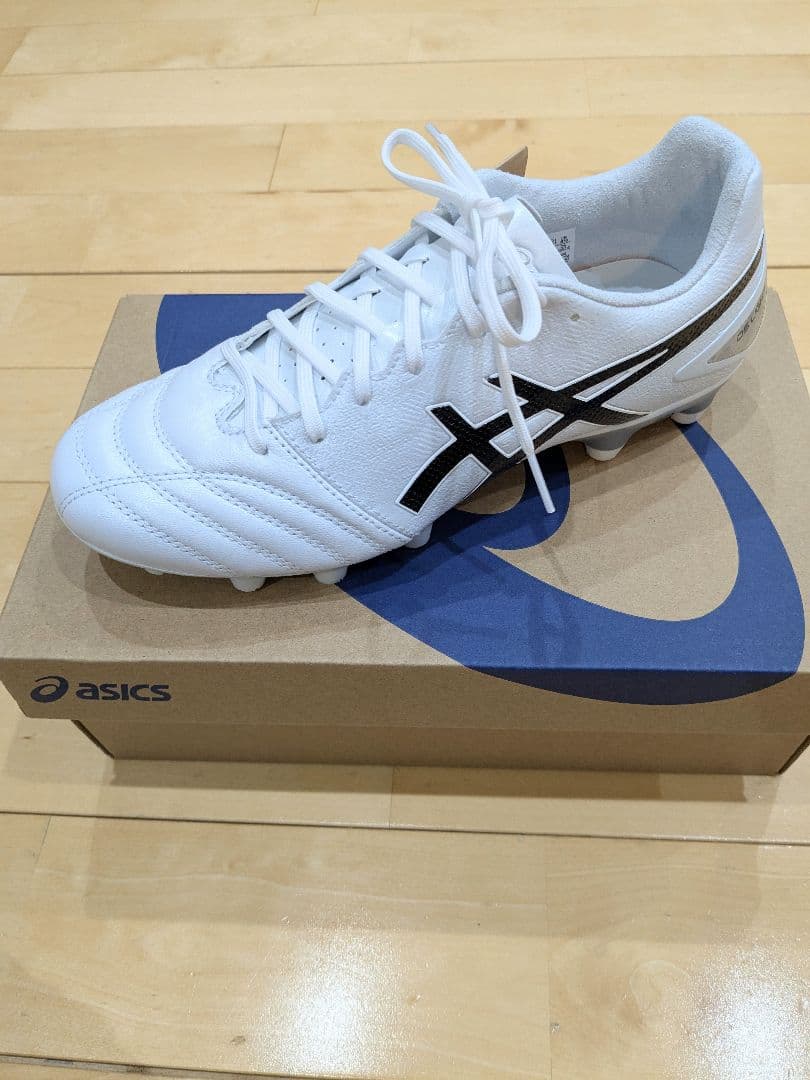 ASICS DS LIGHT PRO スタンダード 25.0cm 新品未使用