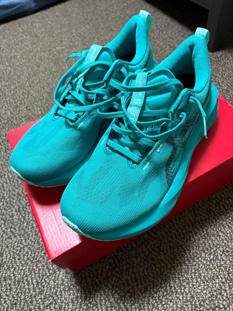 アシックス NOVA BLAST5 ノヴァブラスト5 26.0