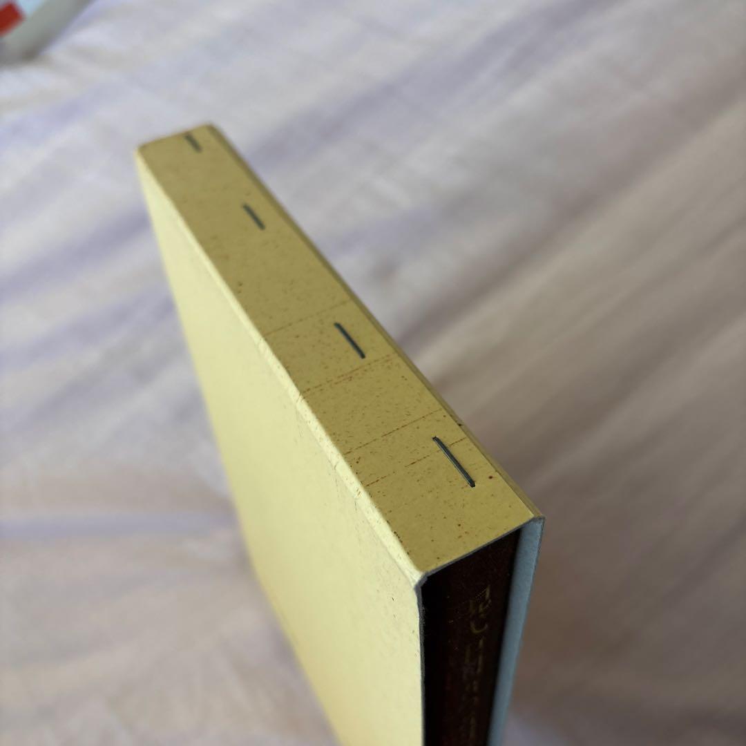 【美品】現代中国語の諸問題　著者:望月八十吉（函付き)