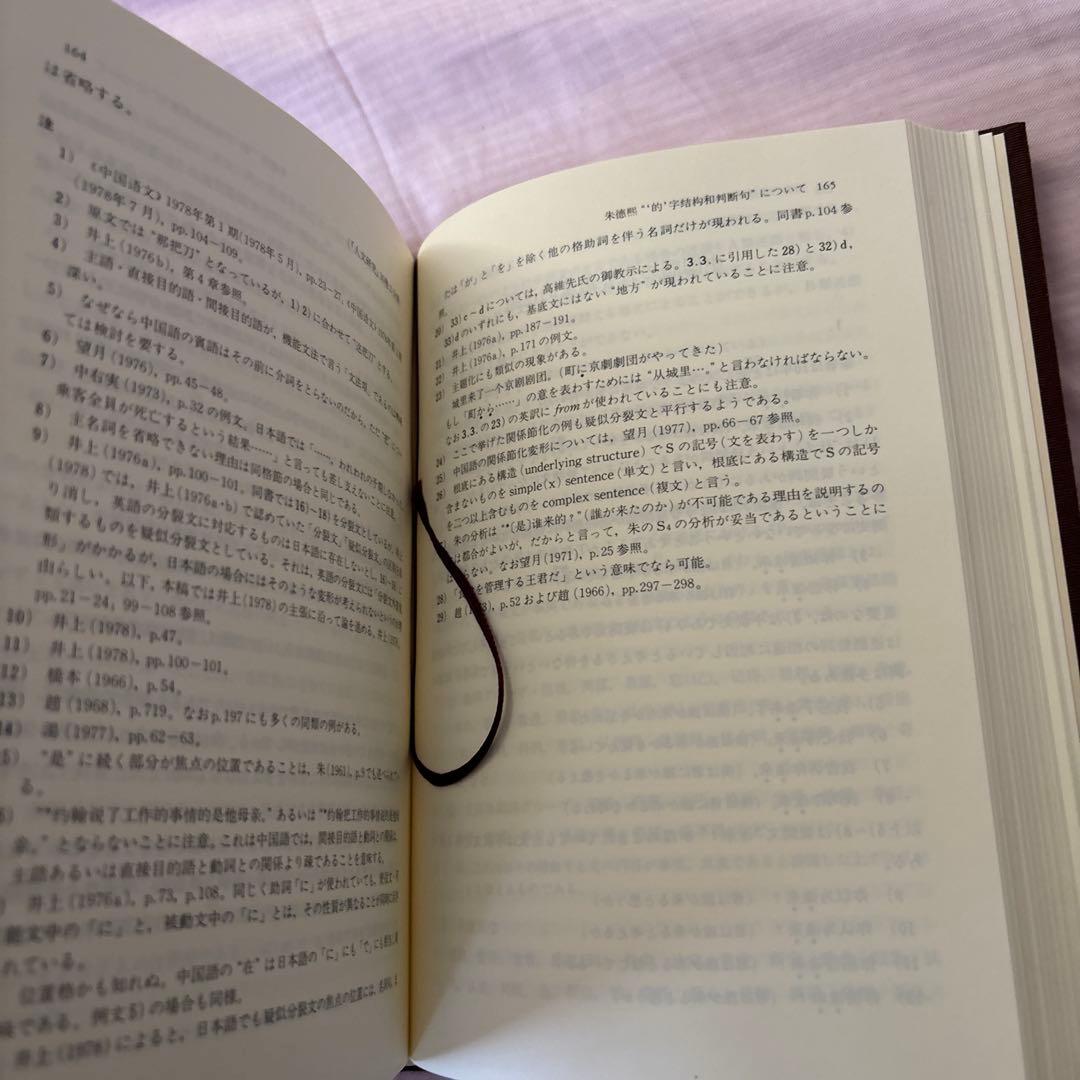 【美品】現代中国語の諸問題　著者:望月八十吉（函付き)