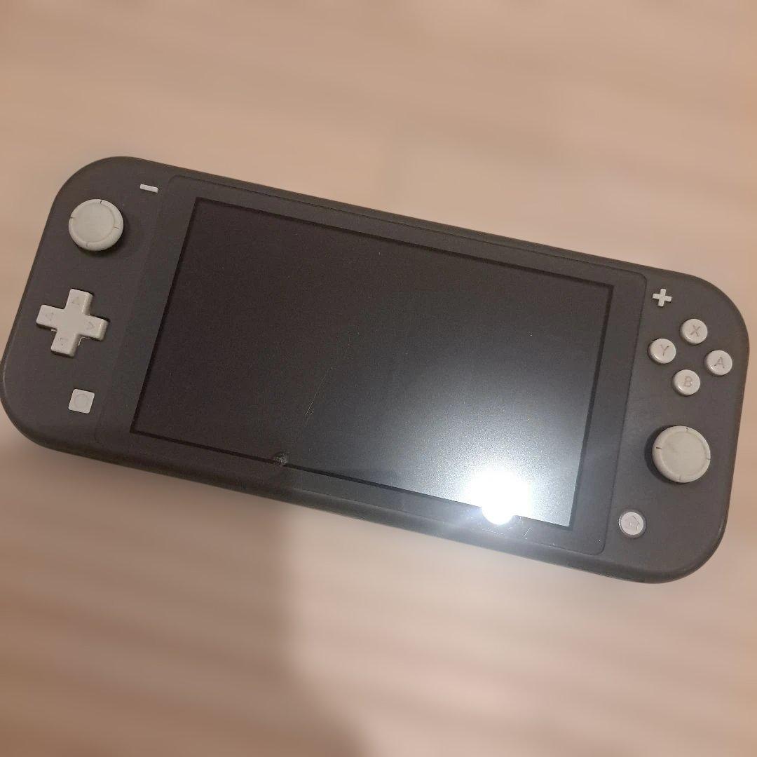 Switch Lite 本体 ジャンク