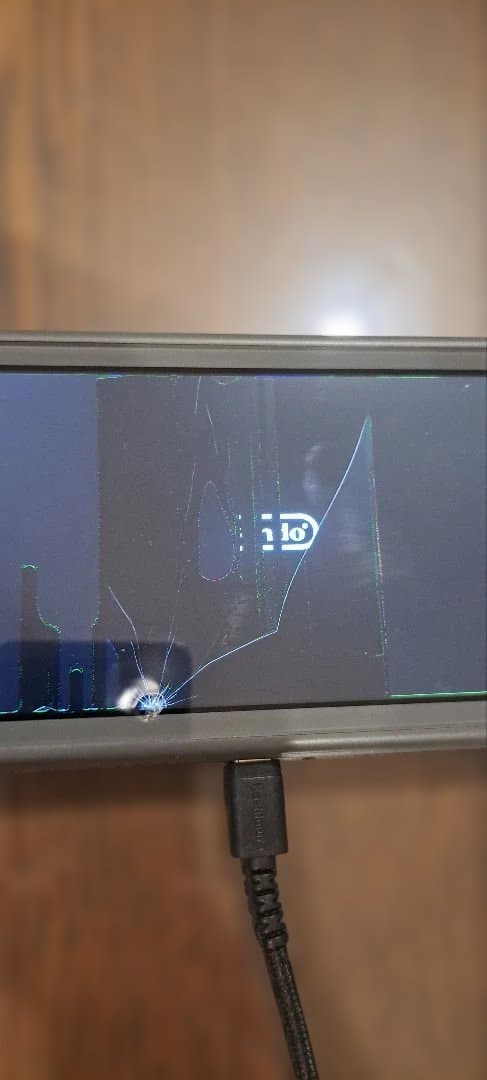 Switch Lite 本体 ジャンク