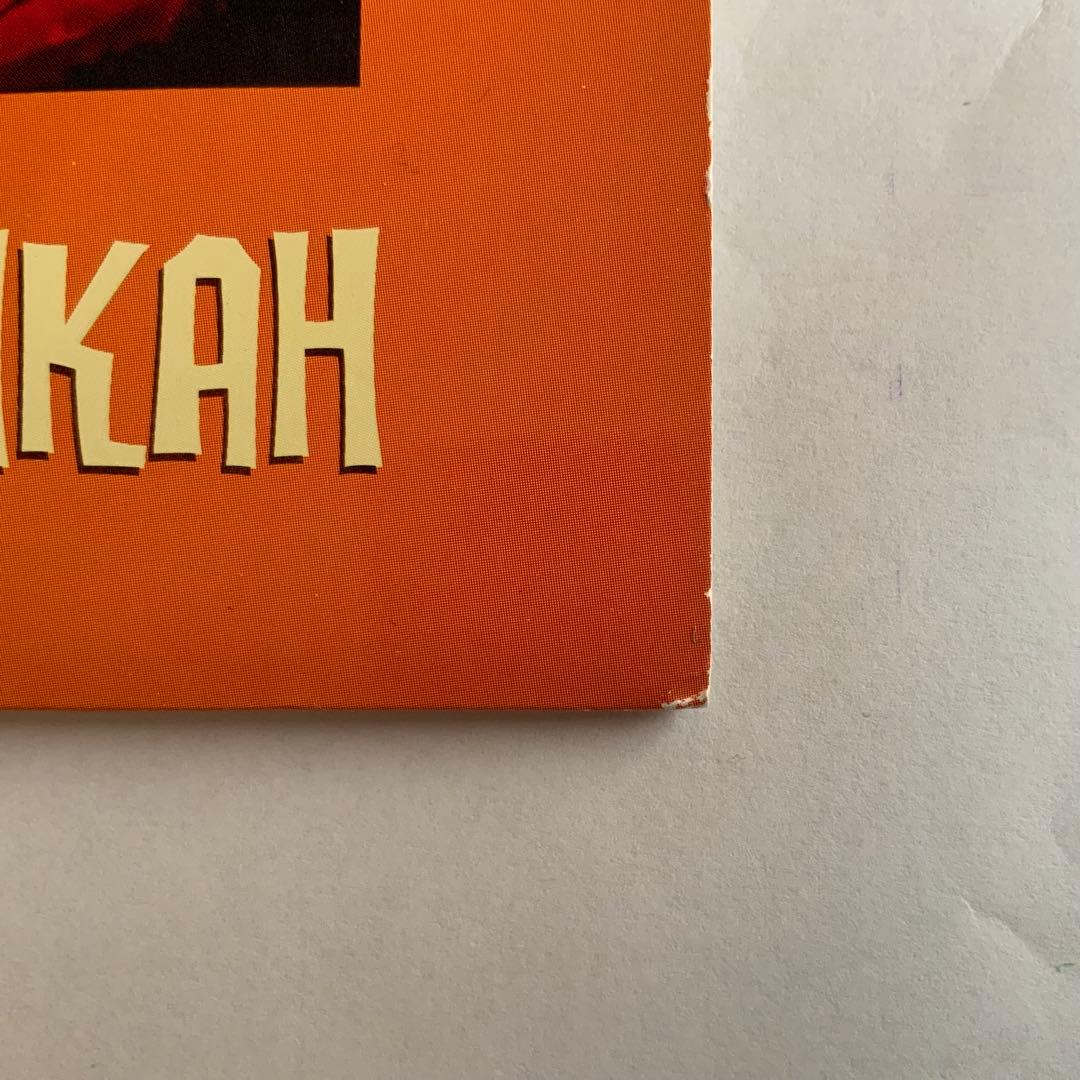 NIRVANA From The Muddy Banks 帯付 国内盤 LP