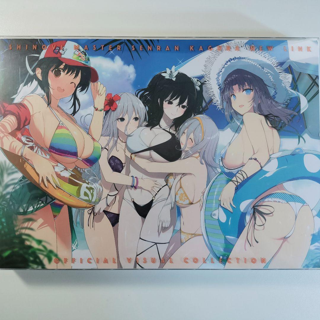 シノビマスター 閃乱カグラ オフィシャルビジュアルコレクション　画集