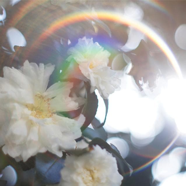 【整備済完動品】Super Takumar 55mm F/1.8 後期型