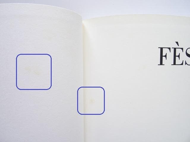 洋書◆フェズ写真集 芸術と知識の街 本 フェス イスラム 建物 風景 景色