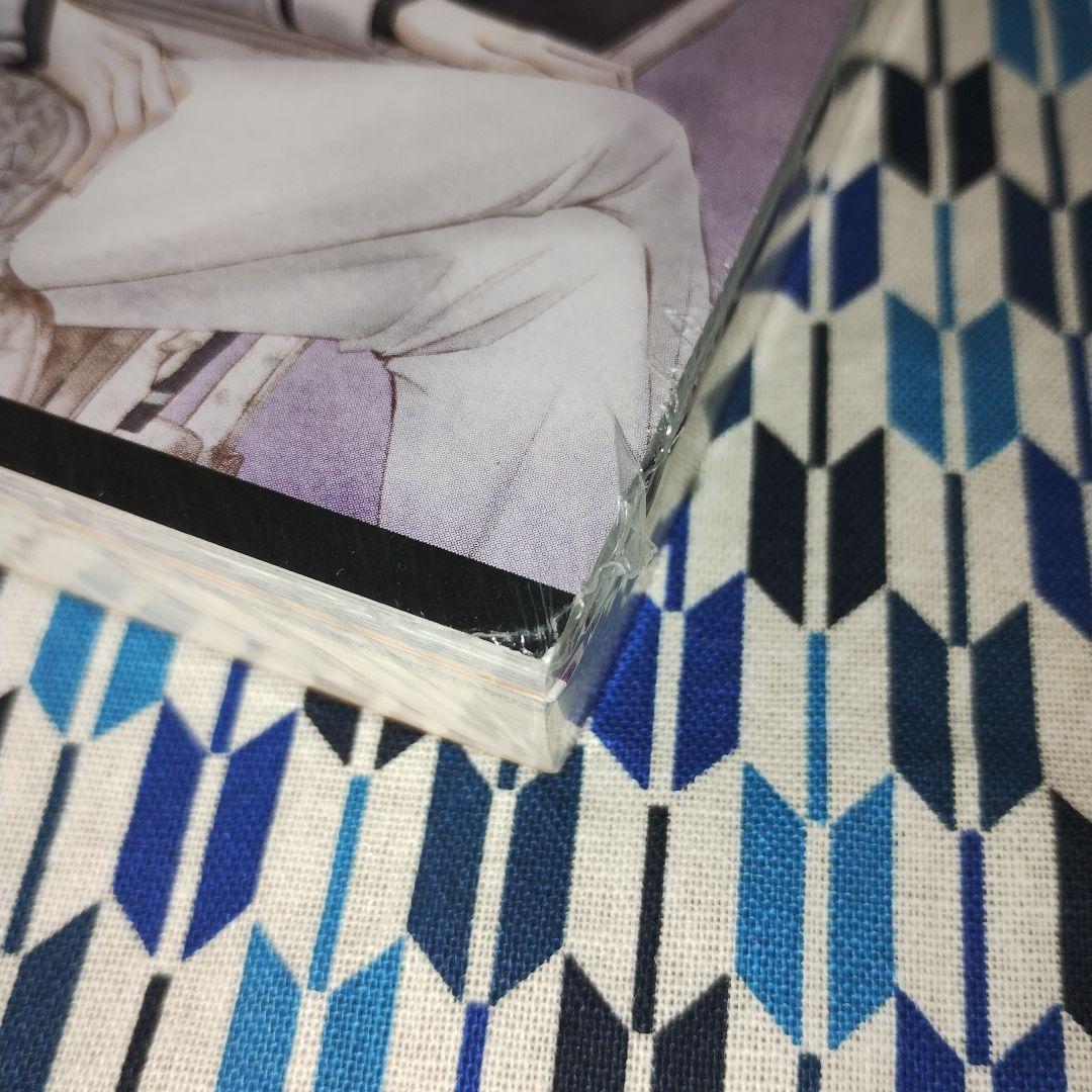 文庫版 ヴァンパイア騎士10巻 ポストカード(イラストカード)16枚 樋野まつり