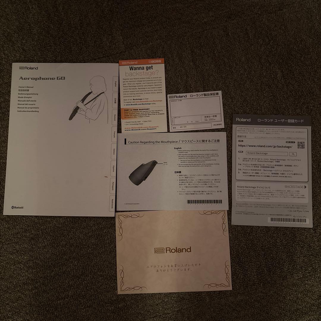 Roland AE-10 ローランド