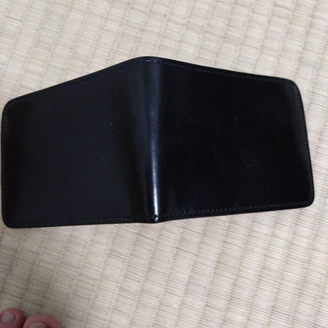 ワイルド・スワンズ