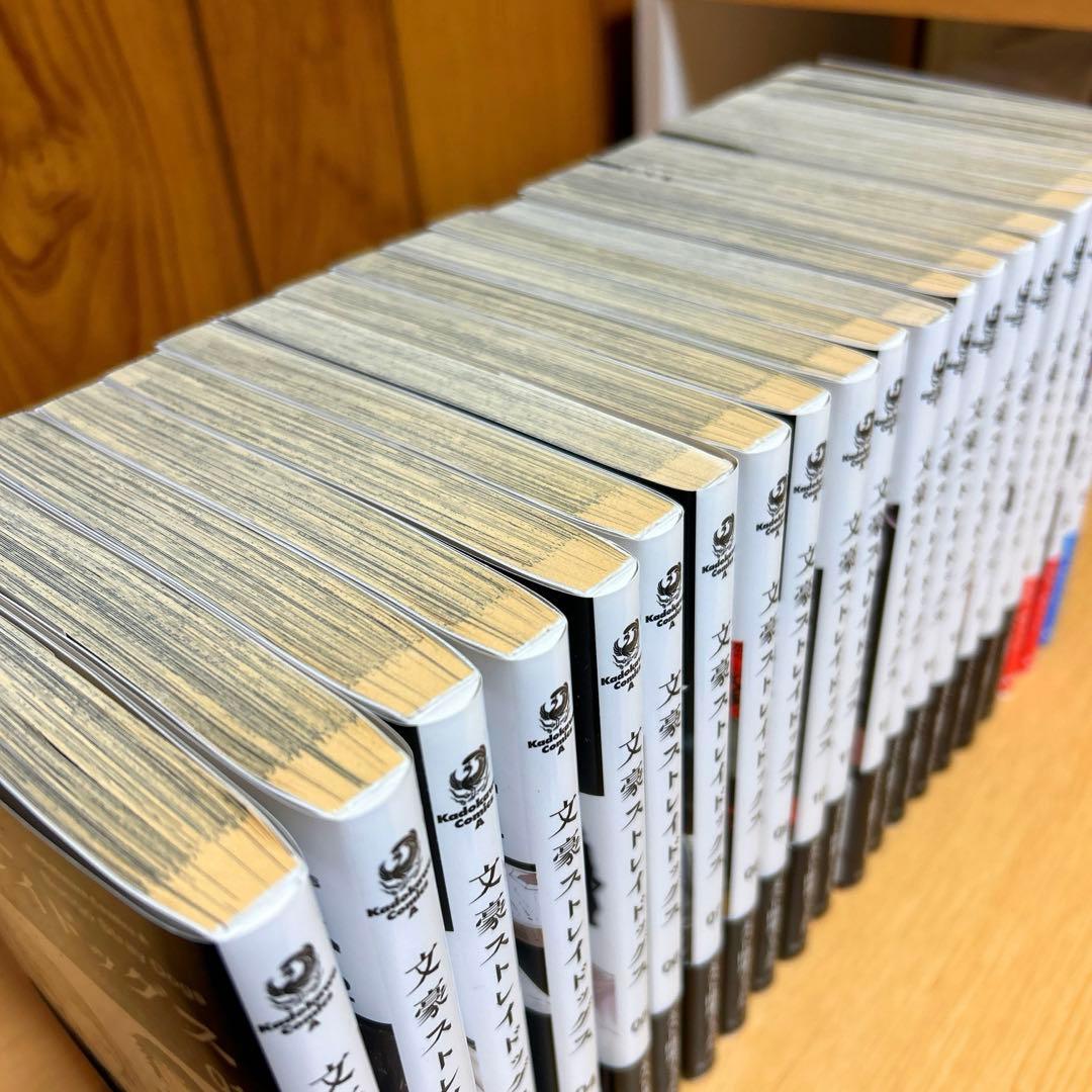 文豪ストレイドッグス 1巻～21巻