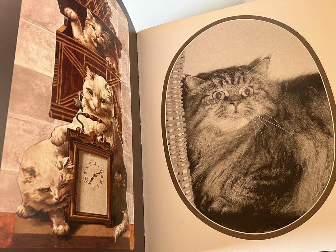 大型猫本Leonor Fini MIROIR DES CHATSレオノールフィニ