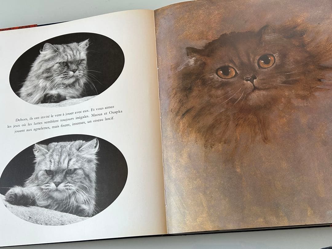 大型猫本Leonor Fini MIROIR DES CHATSレオノールフィニ