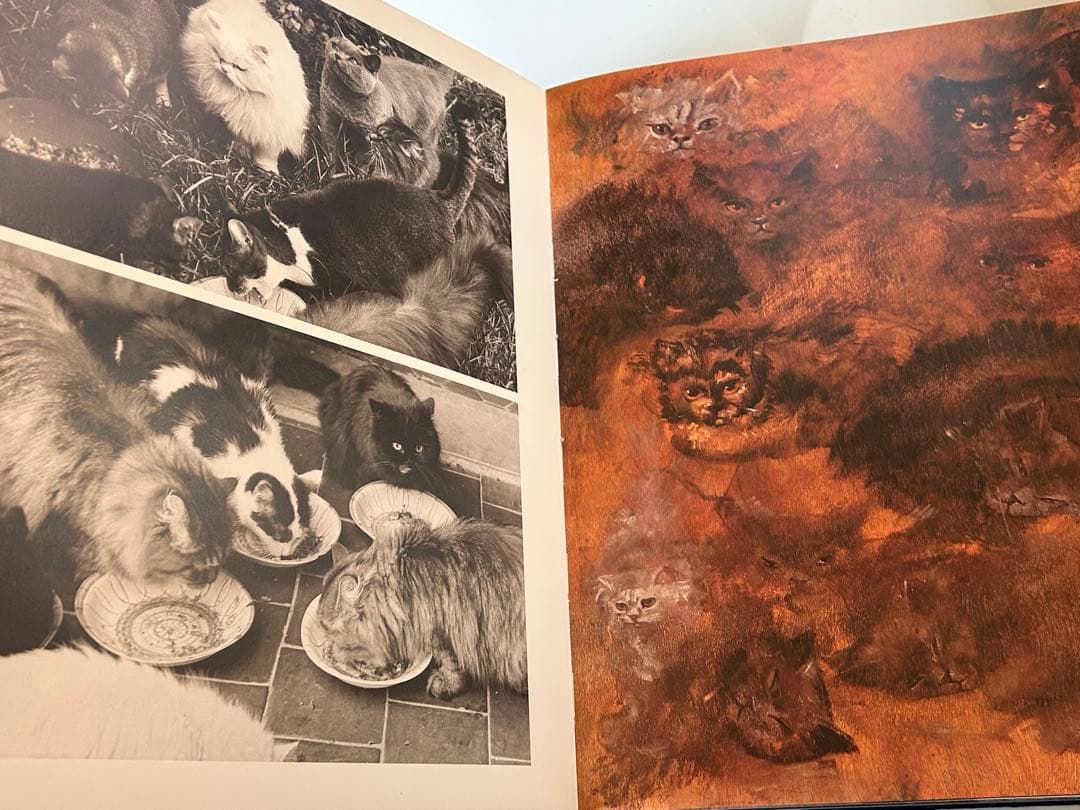 大型猫本Leonor Fini MIROIR DES CHATSレオノールフィニ