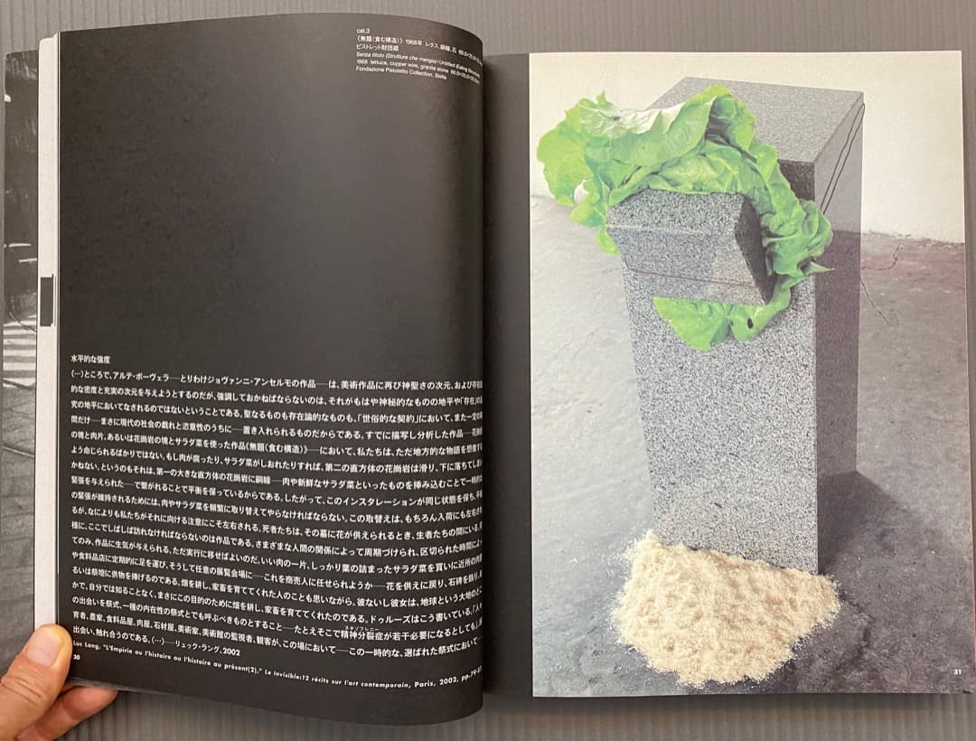 「アルテ・ポーヴェラ　貧しい芸術」展カタログ、豊田市美術館、2005年