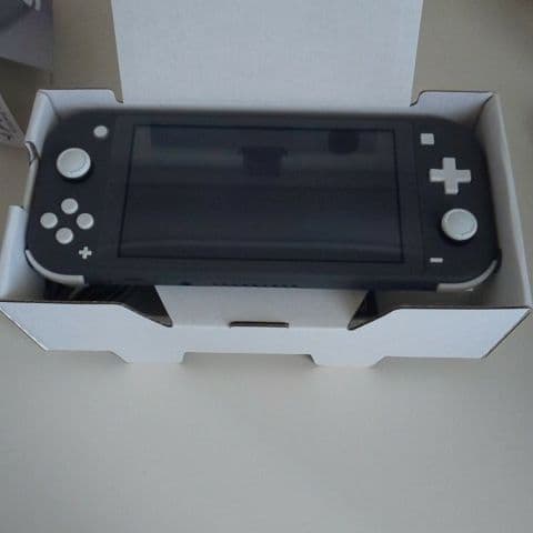 Nintendo Switch NINTENDO SWITCH LITE グ…