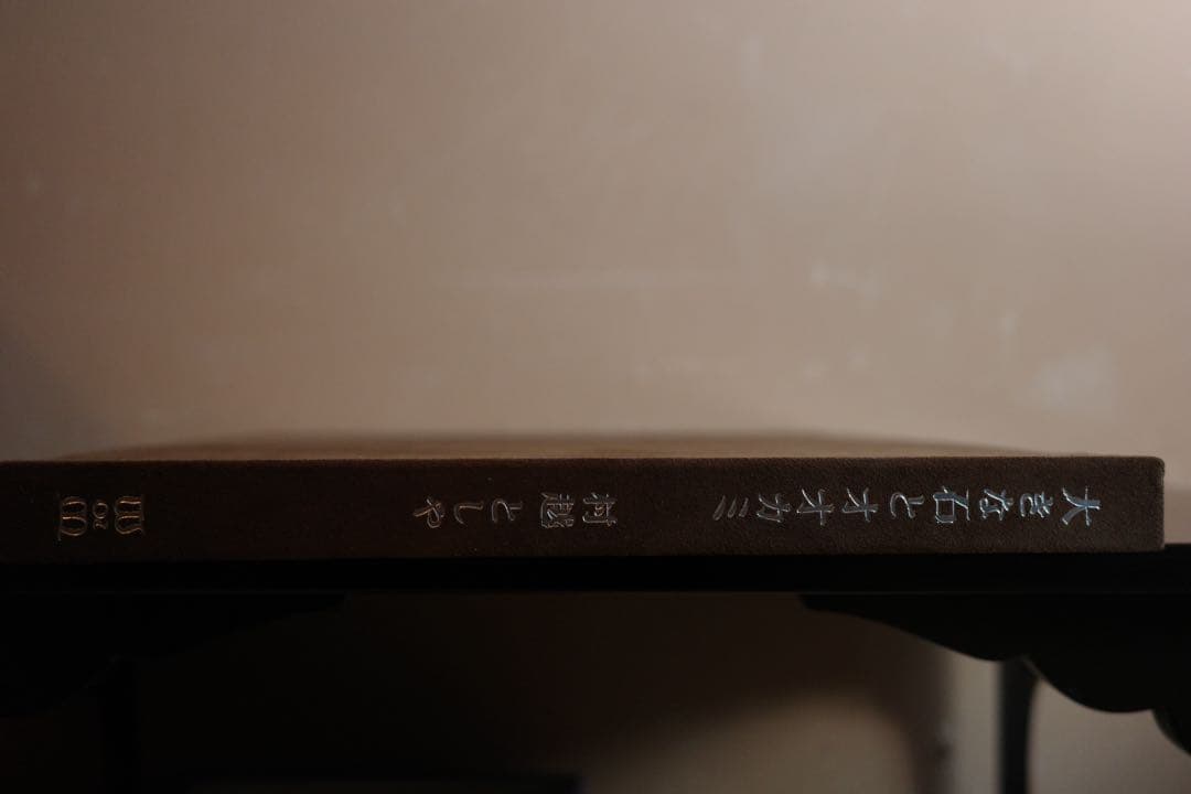 村越としや　「大きな石とオオカミ　特装版」