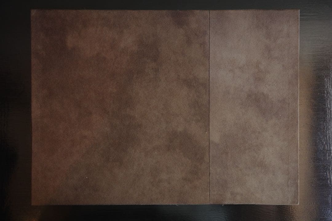 村越としや　「大きな石とオオカミ　特装版」