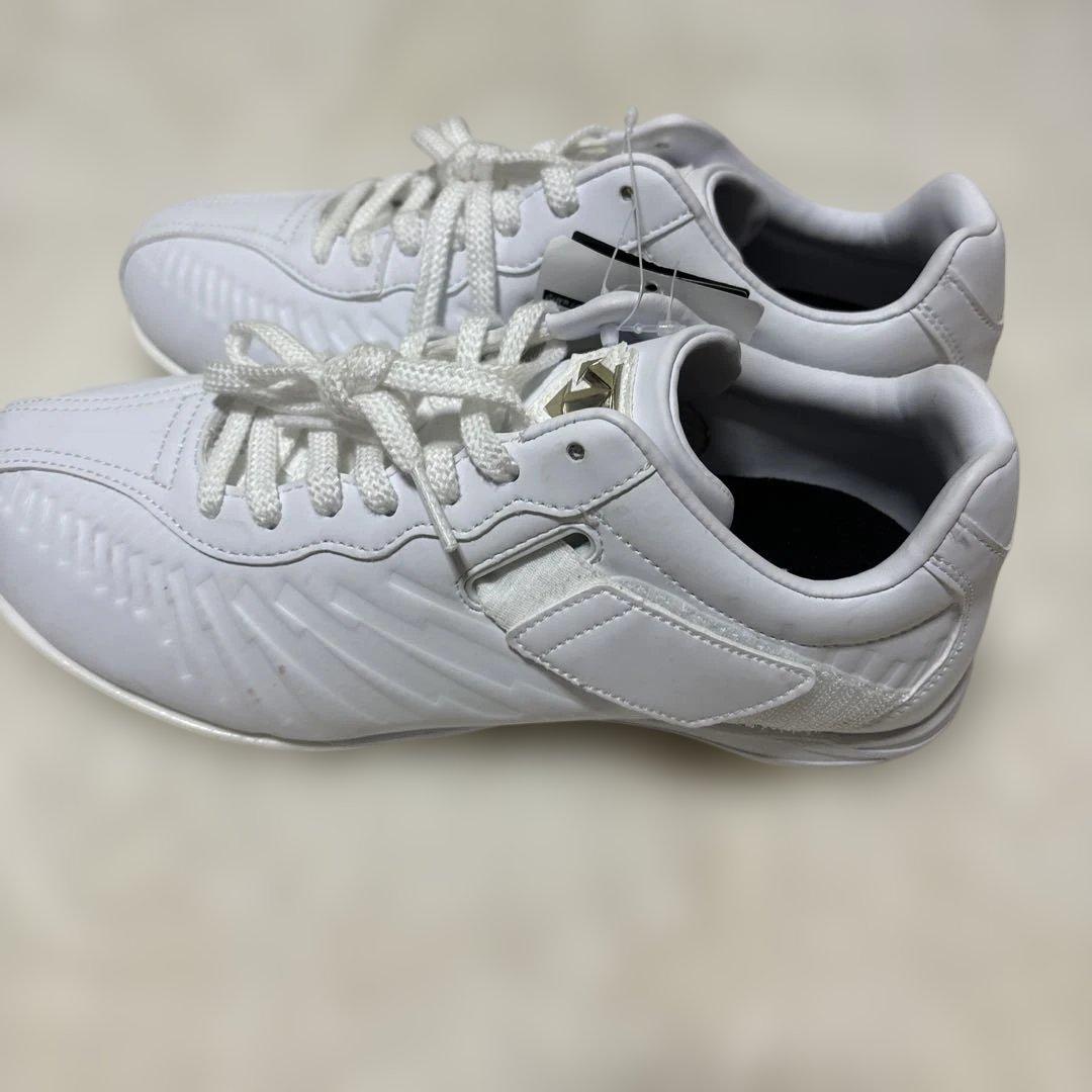 定価税込18700円！デサント　コウノエベルトスパイク2G 25.0㌢　若干汚有