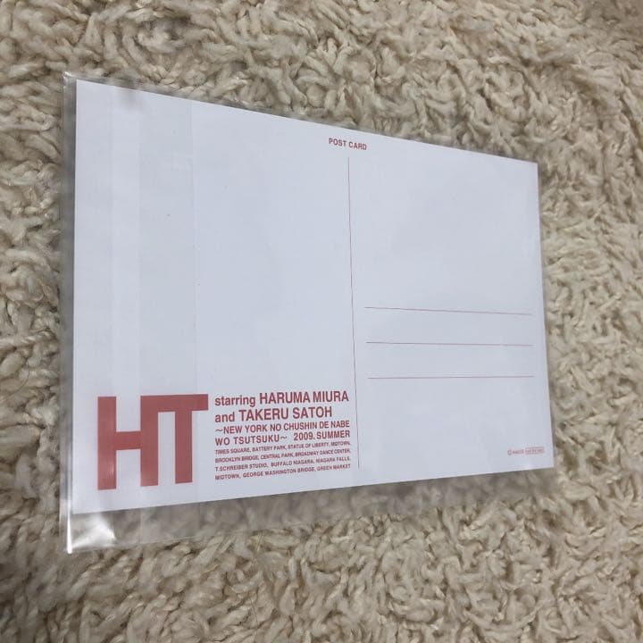 「三浦春馬×佐藤健/HT～N.Y.の中心で,鍋をつつく～」