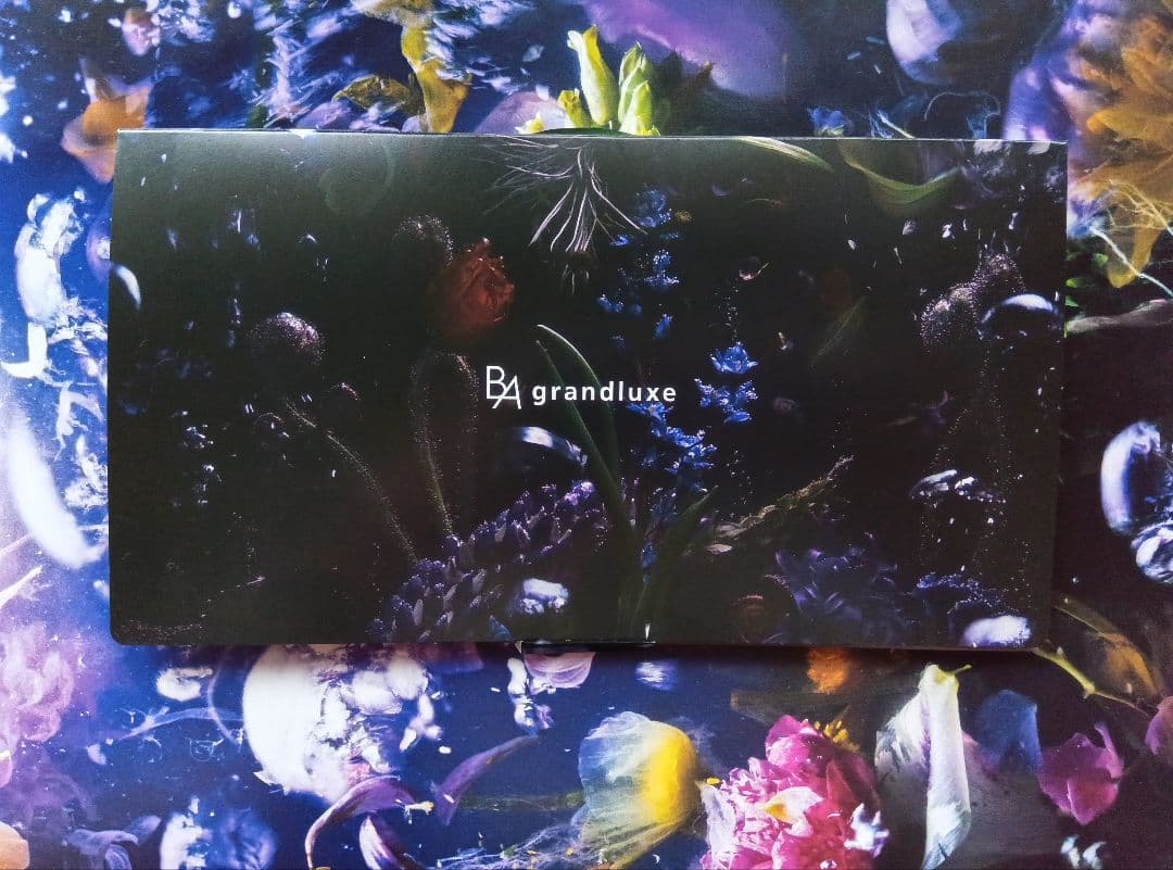 POLA B.A グランラグゼ O 0.6g×20包