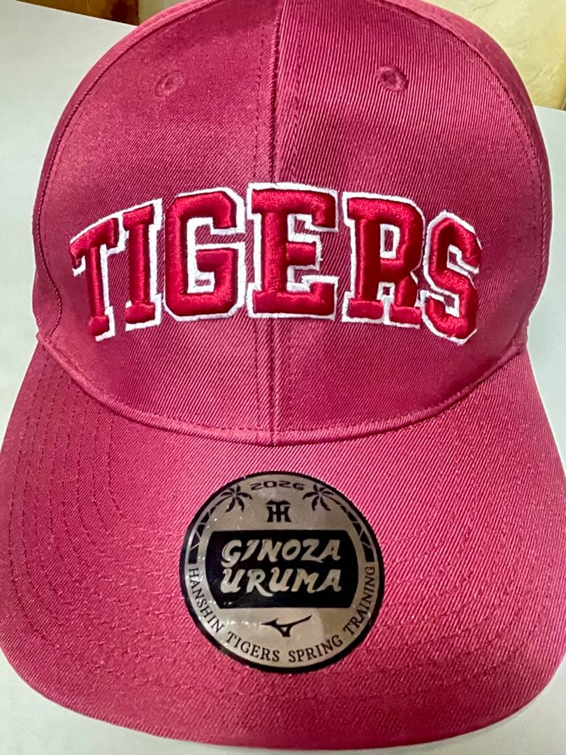 新品未使用 阪神タイガース 宜野座 うるま キャンプ メディア関係者用 キャップ