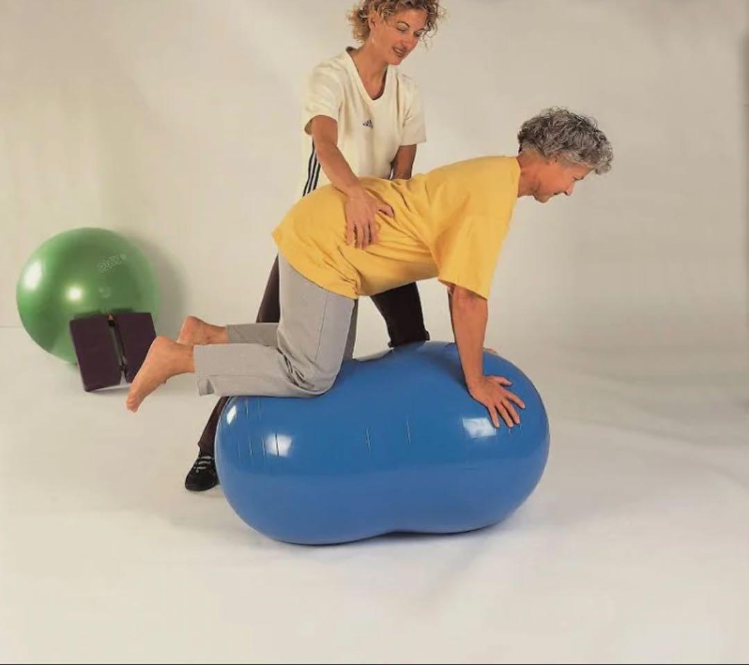 ギムニク(GYMNIC) フィジオロール イタリア製 青　70㎝　ピーナッツ型