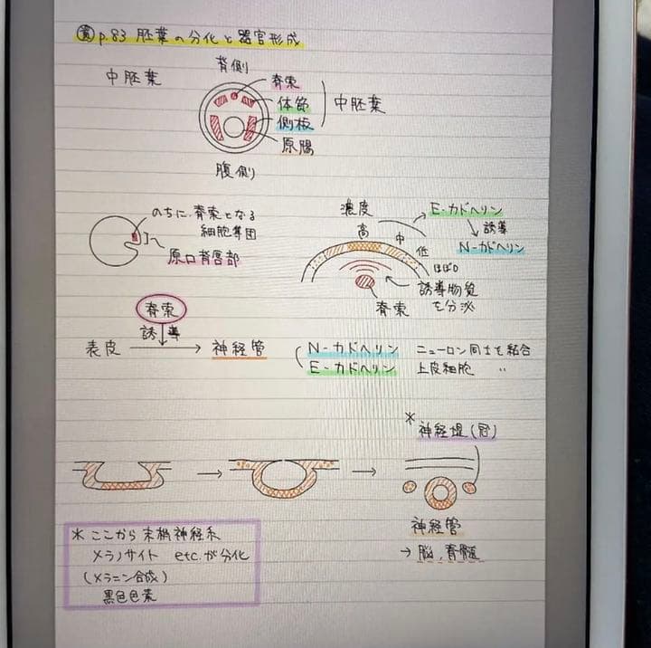 KALS カルス  完成実践テスト合計4回分　講義ノート　学士編入過去問セット
