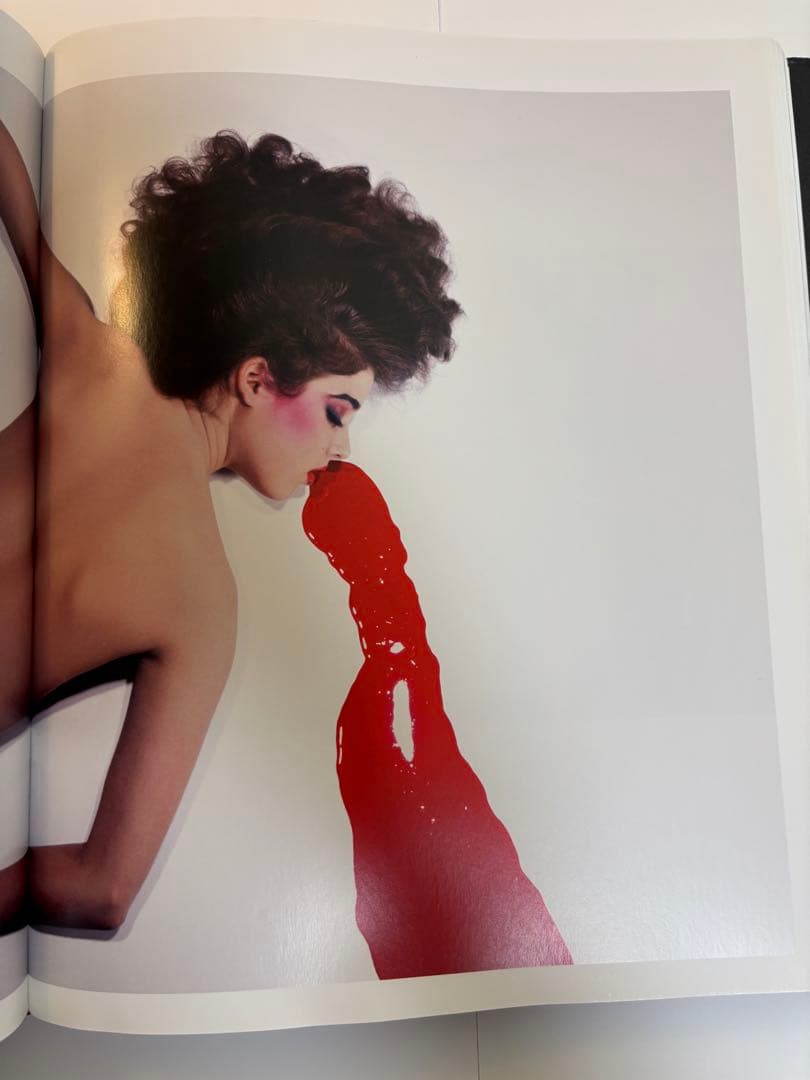 Guy Bourdin 写真集　洋書　アート